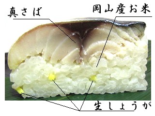 さば寿司の断面写真