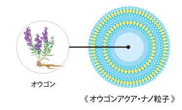 VIVANT JOIE ビーバンジョア ジョアエコ 280MK 薬用オウゴン