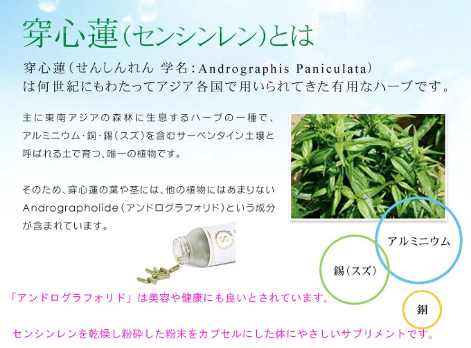 sensinren サプリメント 120粒 センシンレン AGP 健康免疫研究所 天然 