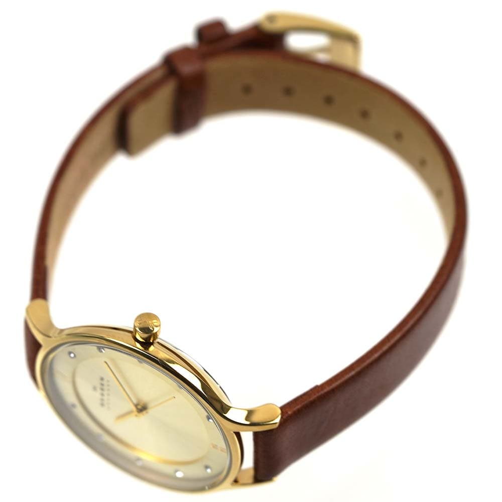 Amazon.co.jp: スカーゲン 時計 SKAGEN SKW2147 ANITA アニタ