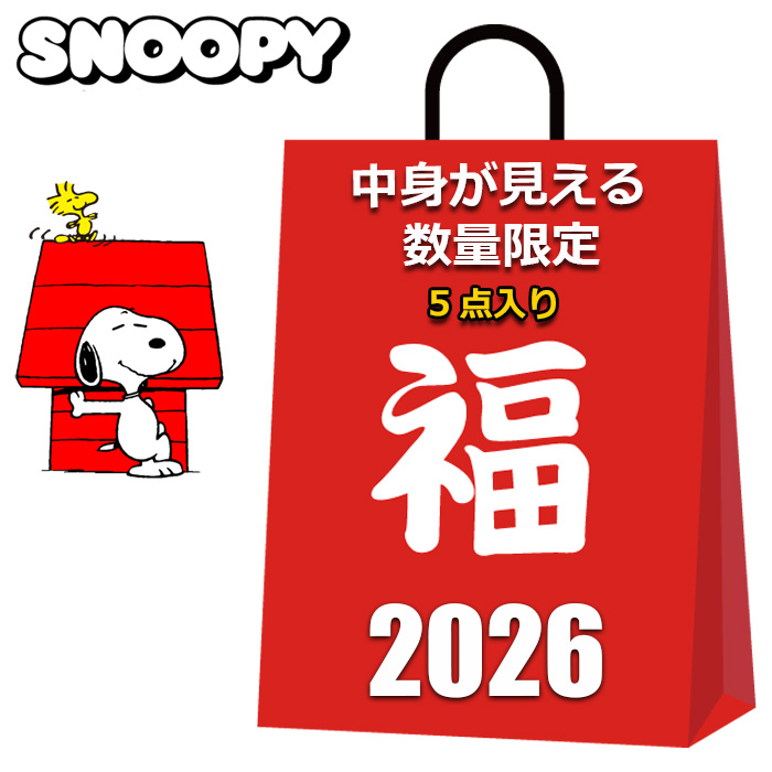 新品未使用スヌーピーまとめ売り自作福袋22点セット SNOOPY（スヌーピー） グッズ 2026 福袋 レディース キッズ 中身が