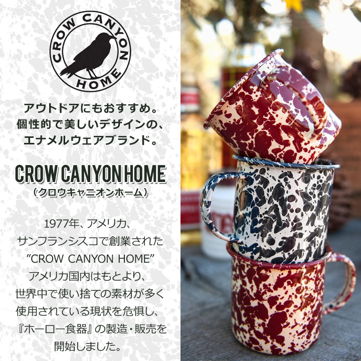 CROW CANYON HOME ホーロー お皿 パスタプレート サステナブル 食器