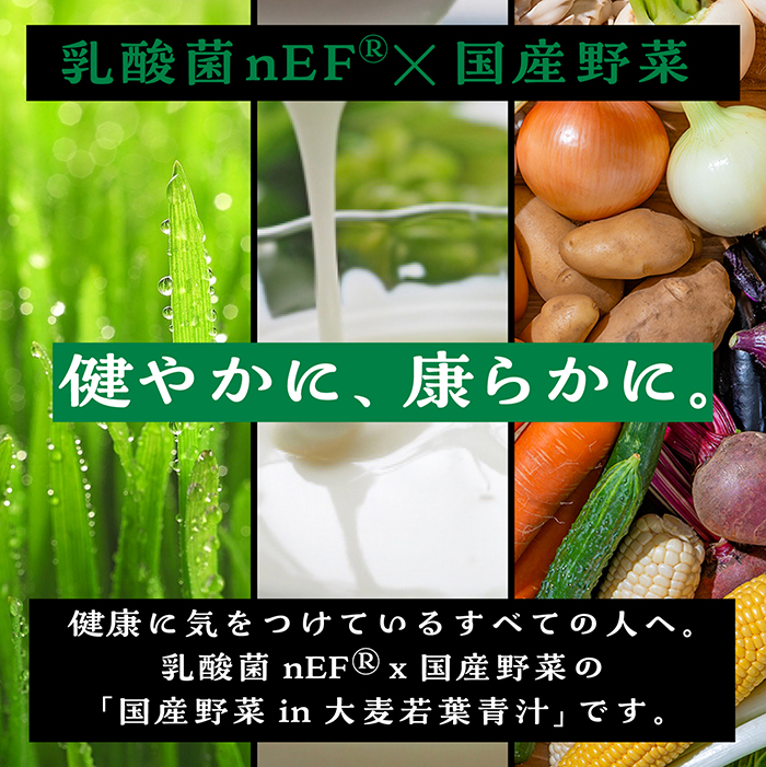 青汁 100包入り 国産野菜in大麦若葉青汁 大麦若葉 乳酸菌150億個