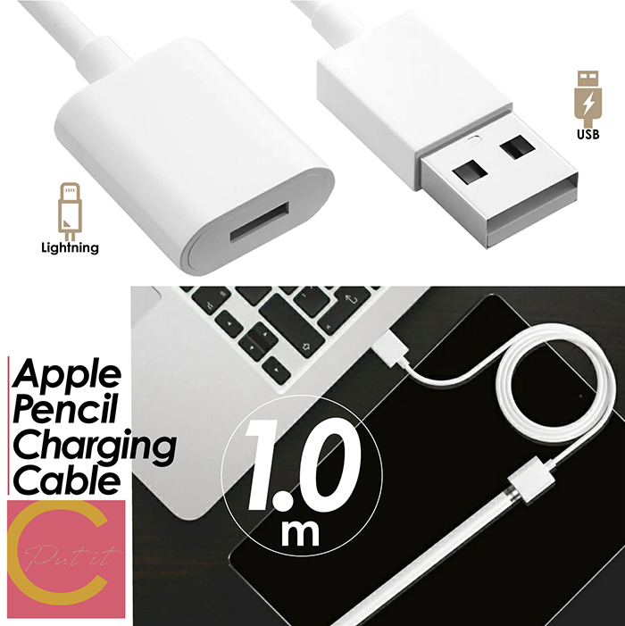 【 送料無料 】 Apple pencil 充電ケーブル 充電 ケーブル アップルペンシル USB 第1世代 第2世代 1M iPad Pro  充電アダプタ 1 2 変換 キャップ カバー ケース