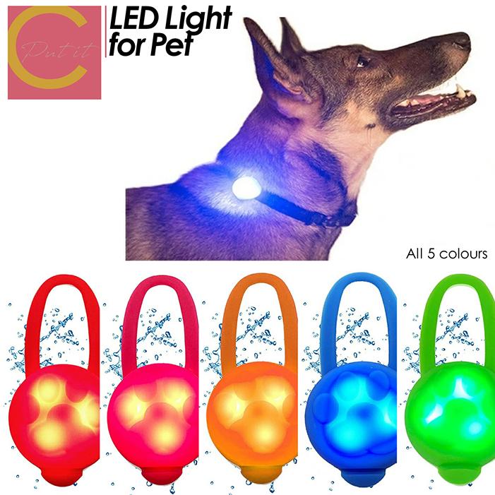 最も セーフティ ライト ホワイト ペット LED 散歩 犬 首輪 安全 リード