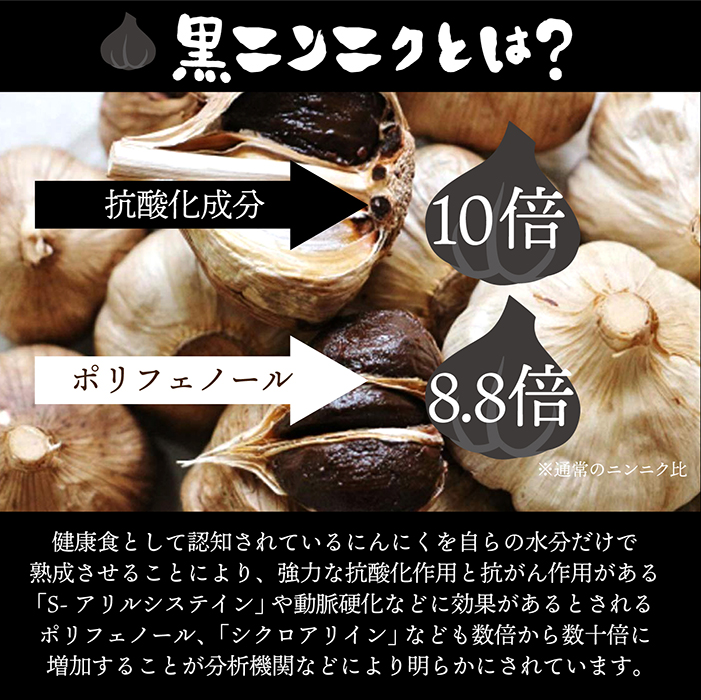 累計販売数9000台突破！黒ニンニク発酵器 黒にんにく 発酵器 ブラック