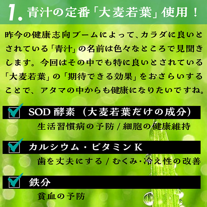 累計販売数15万包突破！酵素青汁 青汁 酵素 まずはお試し 139種の酵素 ダイエット 国産 大葉若葉 置き換えダイエット 抹茶風味 送料無料｜3point｜04