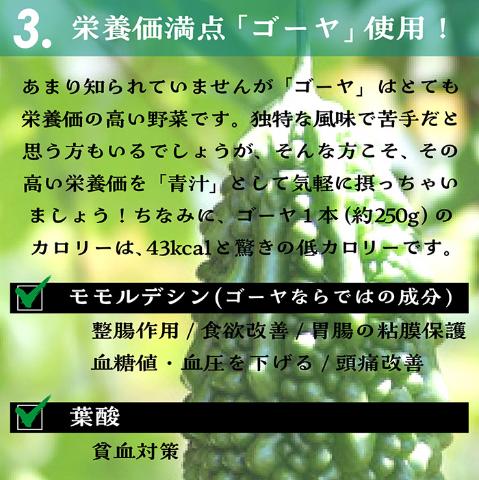 累計販売数15万包突破！酵素青汁 青汁 酵素 まずはお試し 139種の酵素 ダイエット 国産 大葉若葉 置き換えダイエット 抹茶風味 送料無料｜3point｜08