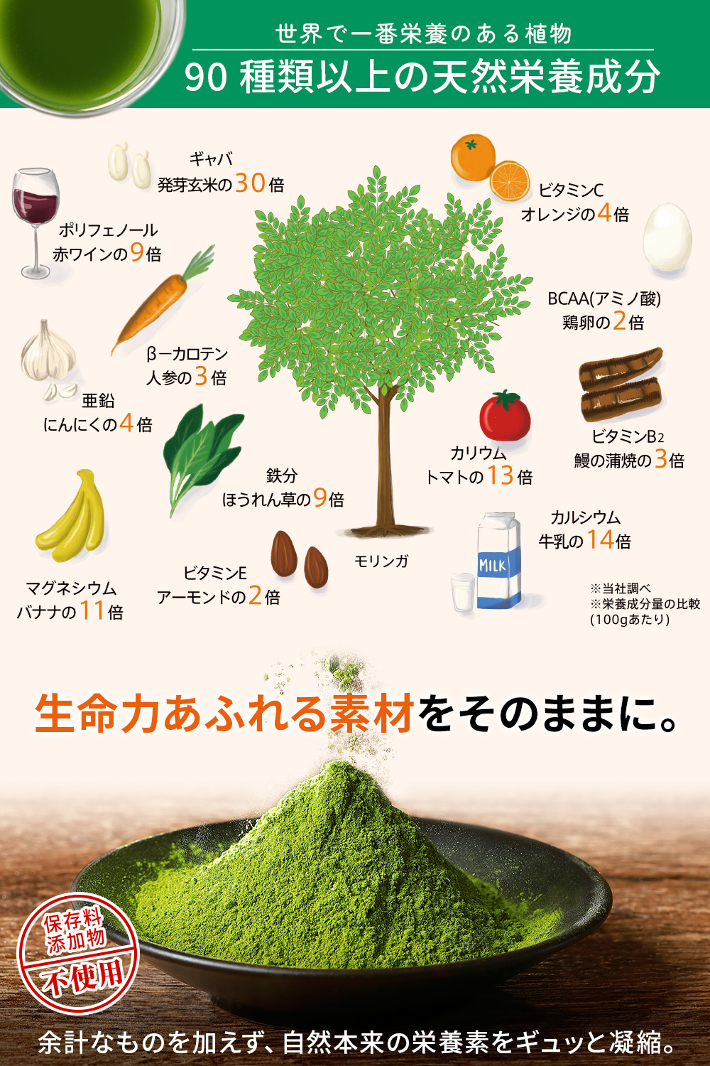 モリンガ パウダー 国産 鹿児島県産 モリンガ100% 無農薬 無添加 個包装 2g×30包 粉末 青汁 サプリ 野菜不足 管理栄養士監修 スーパーフード