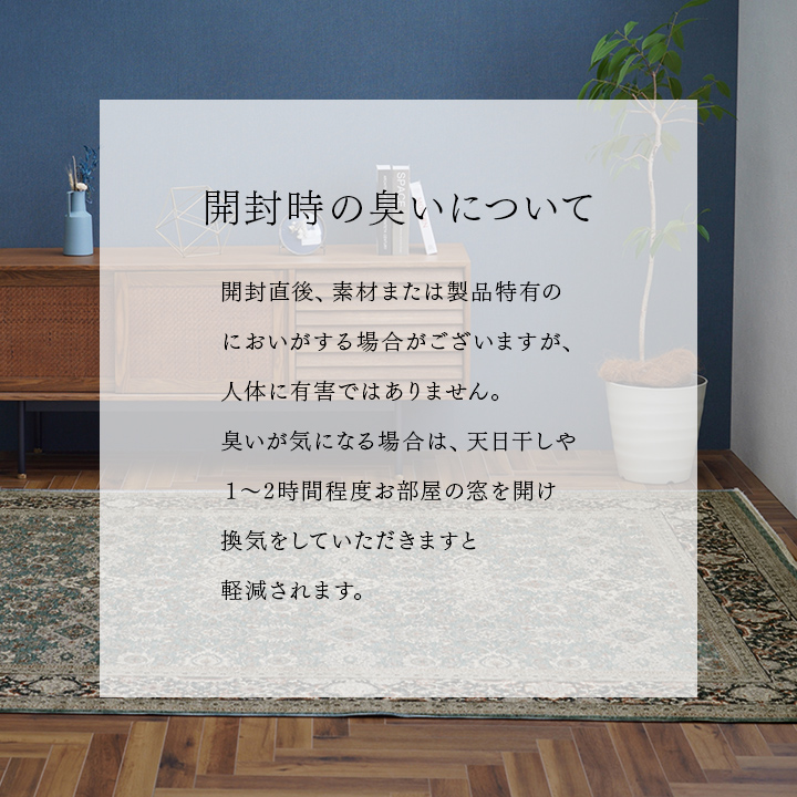 アルスラーン カーペット 絨毯 ウィルトン ウィルトン織 ラグ ボリューム クラシック柄 メダリオン柄 王朝柄 抗菌防臭 耐久性 丈夫 遊び毛