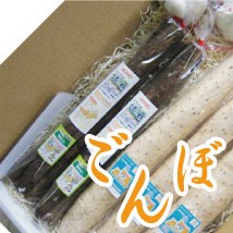 十和田のごんぼ