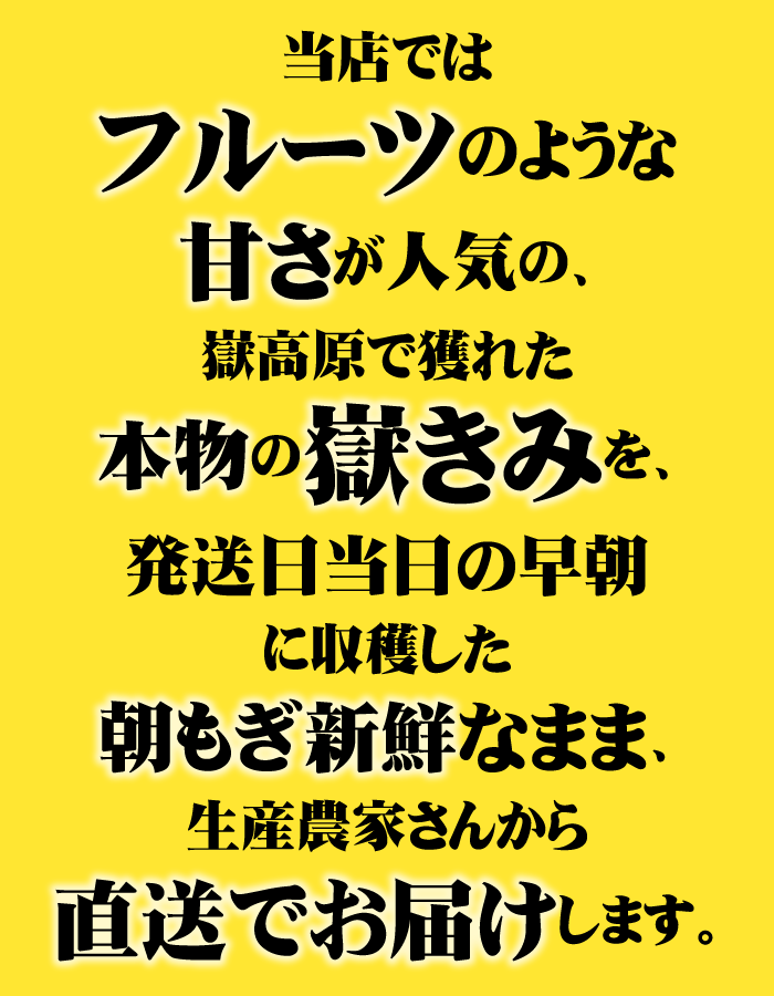 嶽きみ だけきみ とうもろこし トウモロコシ 