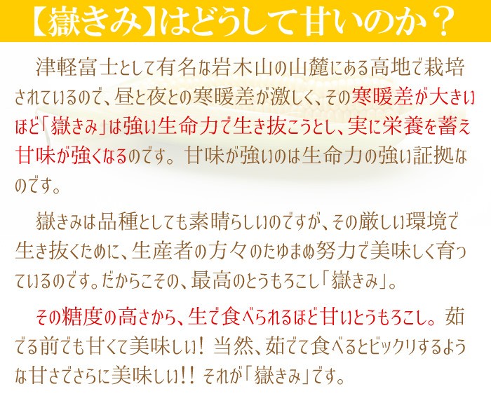 嶽きみ だけきみ とうもろこし トウモロコシ 