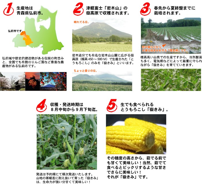 嶽きみ だけきみ とうもろこし トウモロコシ 