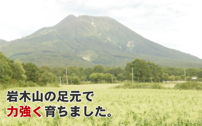 嶽きみ だけきみ とうもろこし トウモロコシ 
