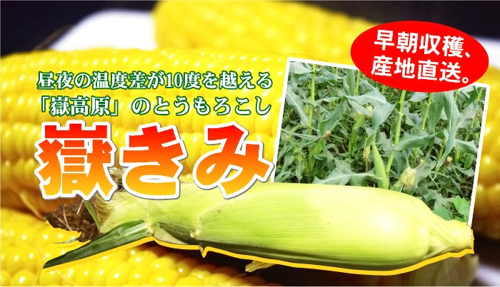 嶽きみ だけきみ とうもろこし トウモロコシ 