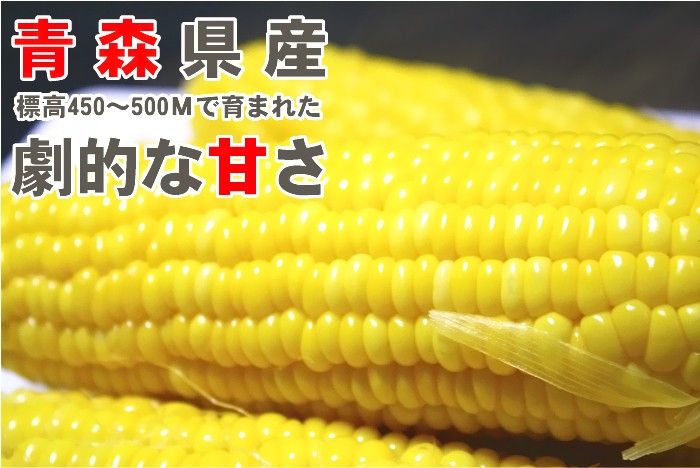 嶽きみ だけきみ とうもろこし トウモロコシ 