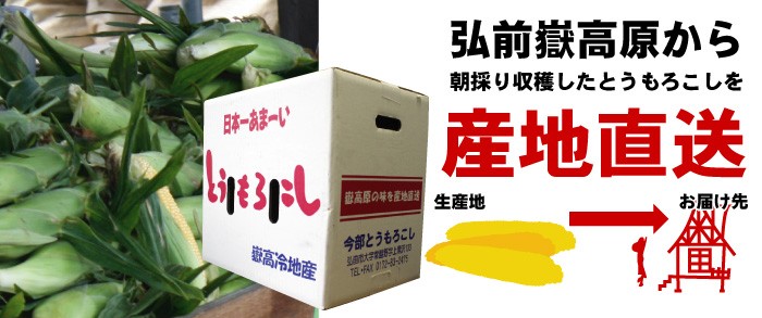 嶽きみ だけきみ とうもろこし トウモロコシ 