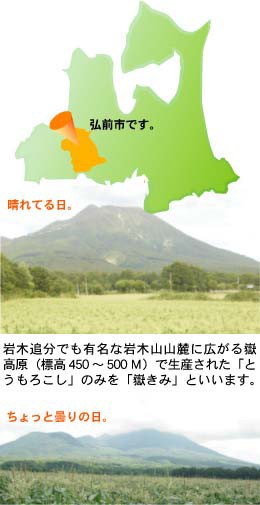 嶽きみ だけきみ とうもろこし トウモロコシ 