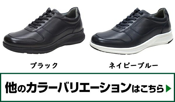 color-1211a092.jpg