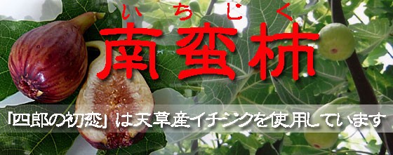 菓子 熊本土産 天草謹製南蛮柿餅・四郎の初恋 : 天草特産品ネット