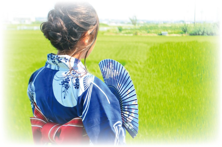値下げしました【未使用、桐箱入】尺一扇　童子扇（菊水）　観世流 扇・扇袋 - 檜書店オンラインショップ