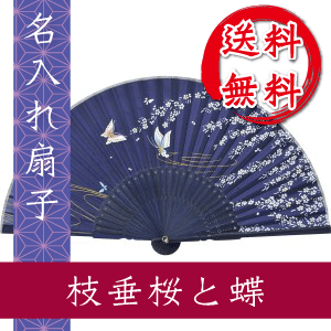 枝垂桜と蝶