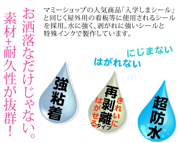 ゴミ箱ラベル 送料無料 防水 シンプル 分別ラベル A4 透明