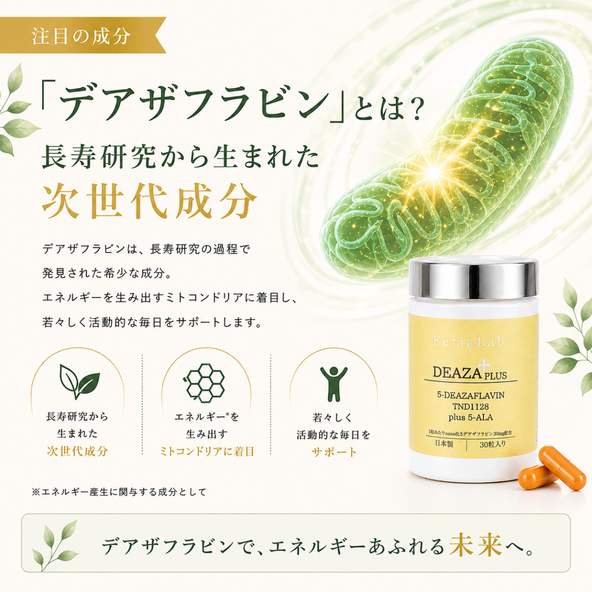 DEAZAPLUS SHOP - Yahoo!ショッピング