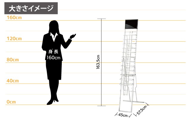 女性とのサイズ比較