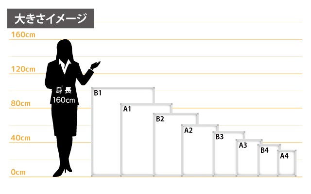 女性とのサイズ比較