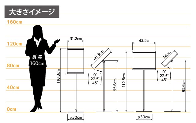 女性とのサイズ比較