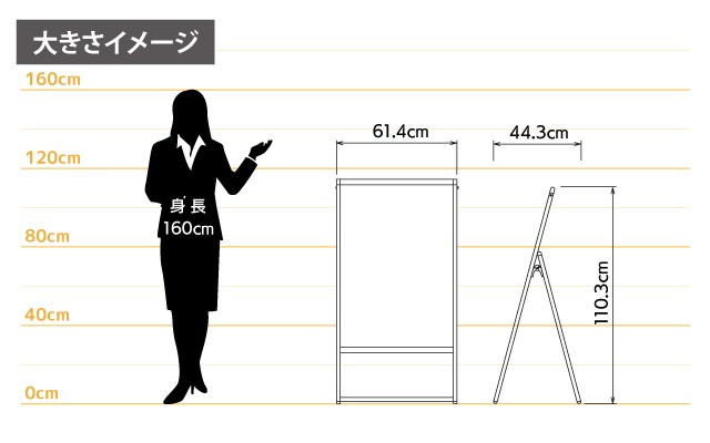 女性とのサイズ比較