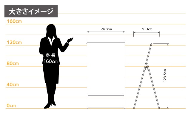 女性とのサイズ比較