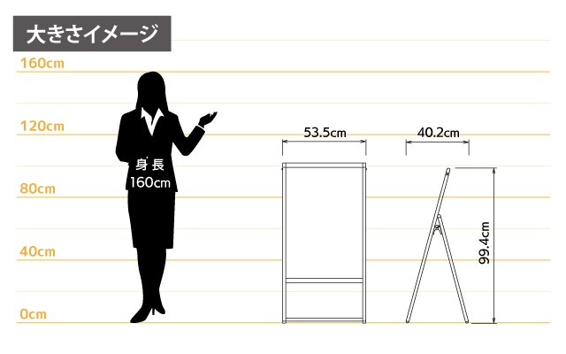女性とのサイズ比較