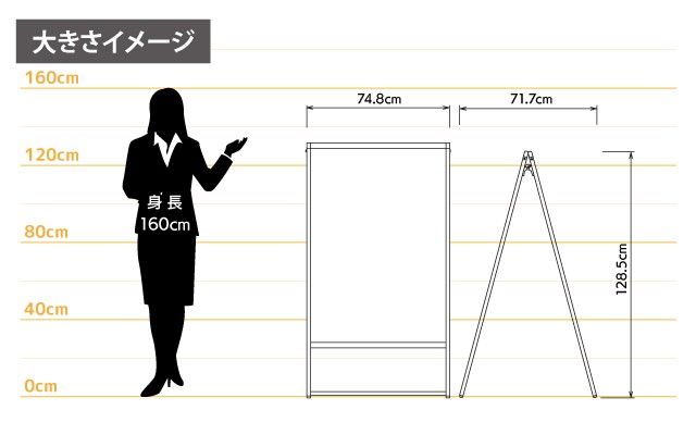 女性とのサイズ比較