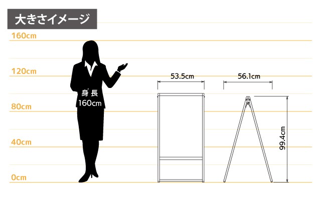 女性とのサイズ比較