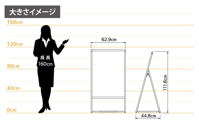 女性とのサイズ比較