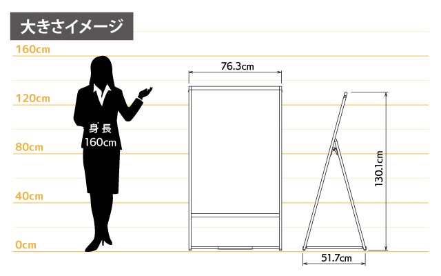 女性とのサイズ比較
