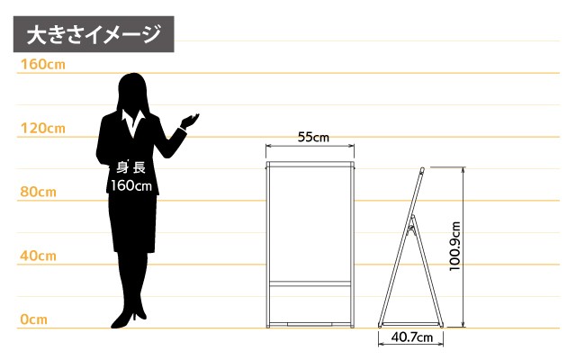 女性とのサイズ比較