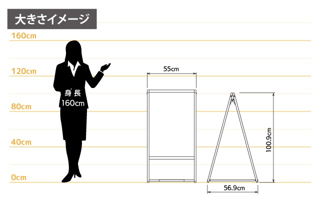 女性とのサイズ比較
