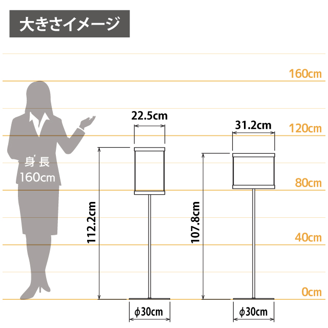 女性とのサイズ比較