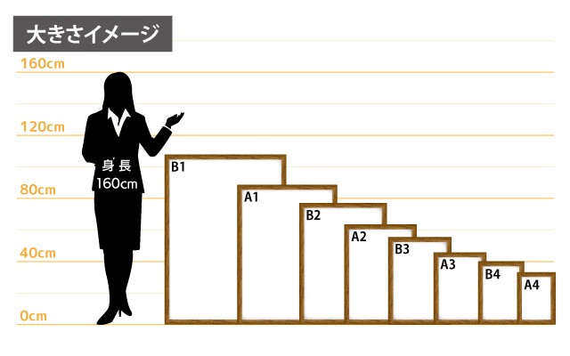 女性とのサイズ比較