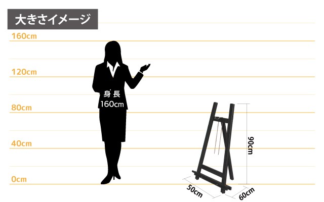 女性とのサイズ比較
