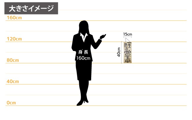 女性とのサイズ比較