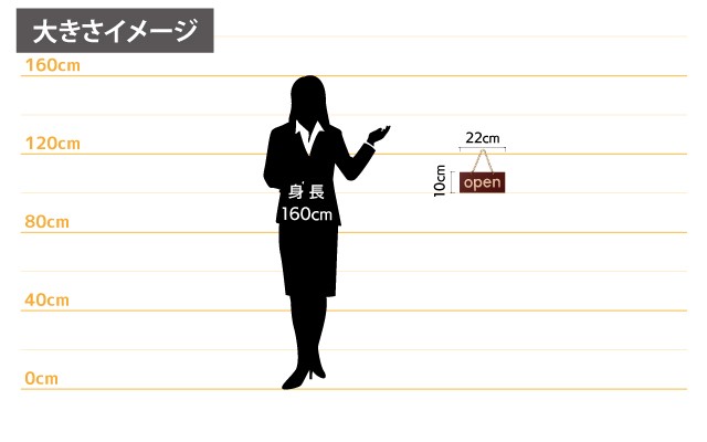 女性とのサイズ比較