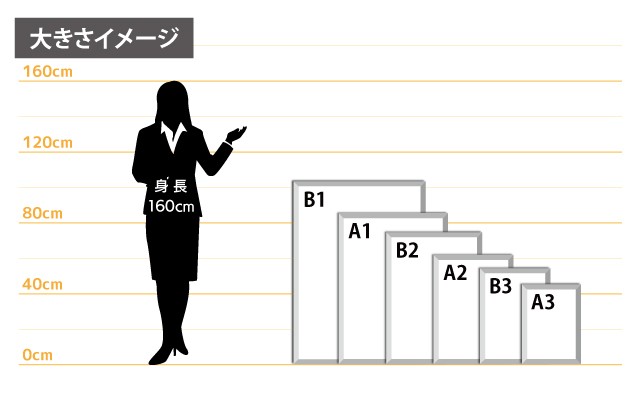 “女性とのサイズ比較"