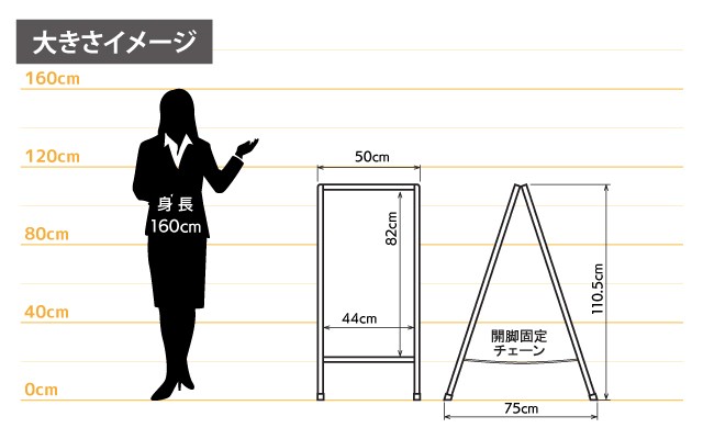 女性とのサイズ比較
