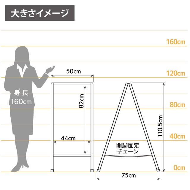 女性とのサイズ比較