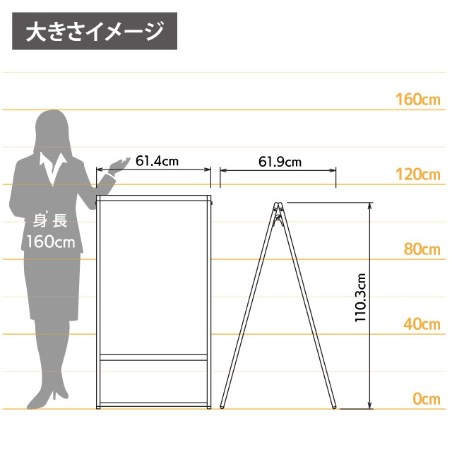 女性とのサイズ比較